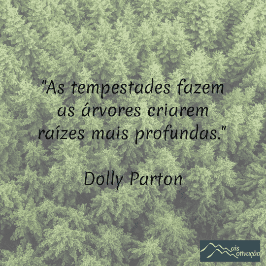 Uma frase do dia com uma floresta de pinheiros ao fundo