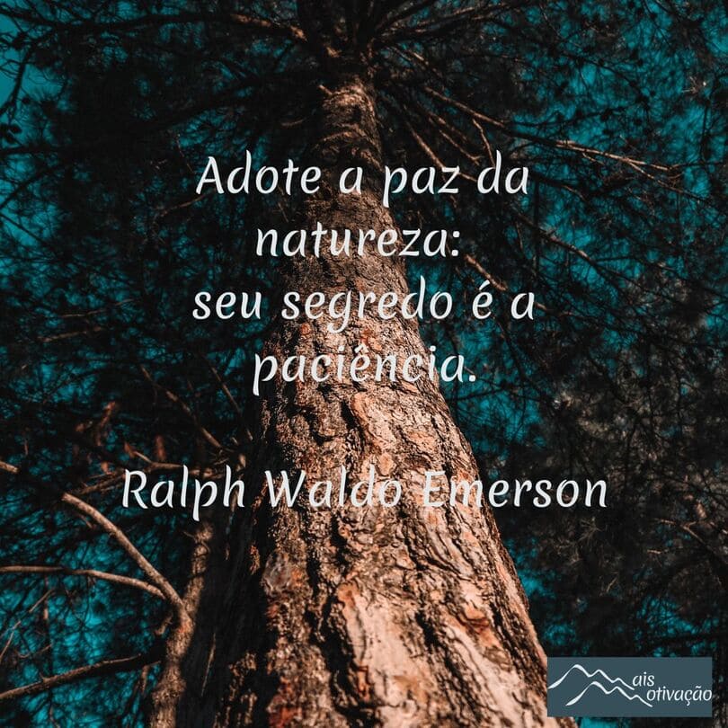 uma frase do dia para trazer motivação