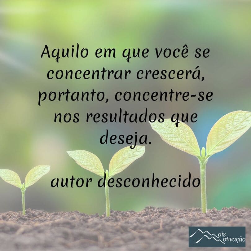 uma frase do dia para trazer motivação