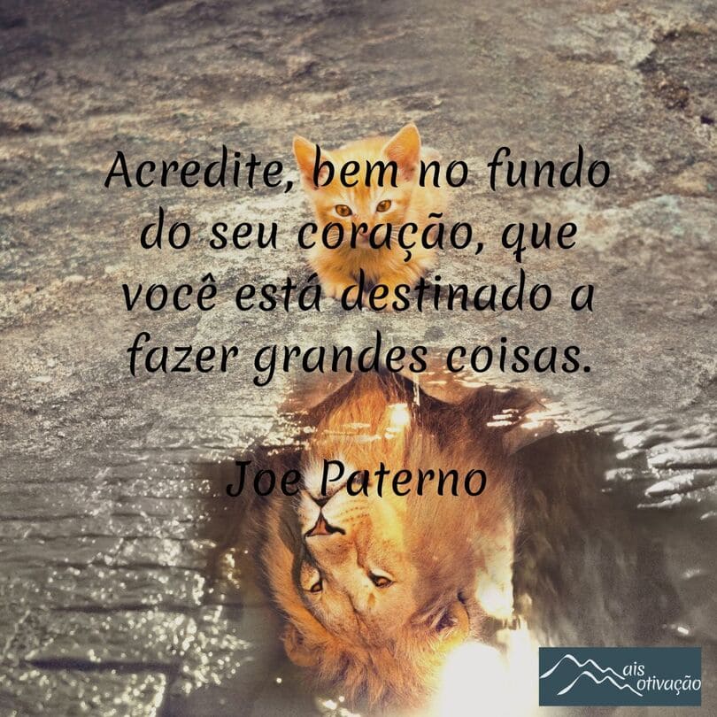 uma frase do dia para trazer motivação