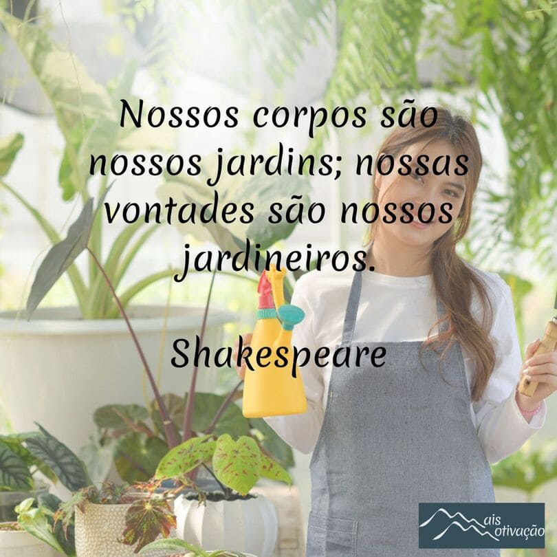 uma frase do dia para trazer motivação