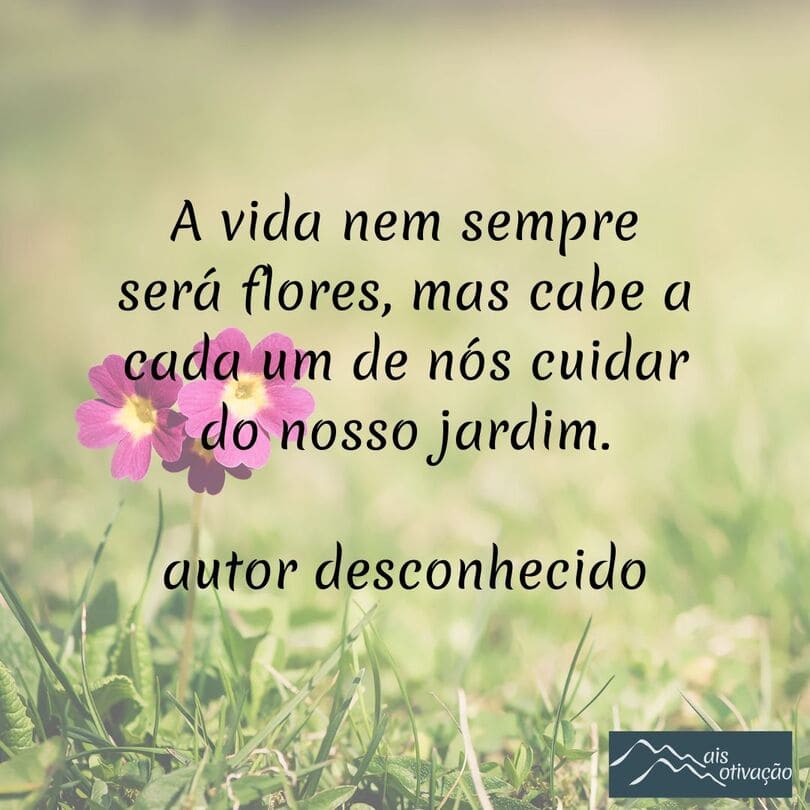 uma frase do dia para trazer motivação